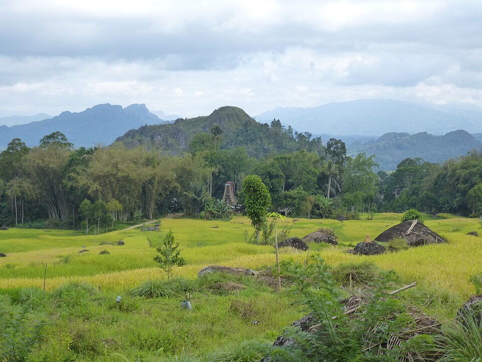 Pemandangan dataran tinggi Toraja