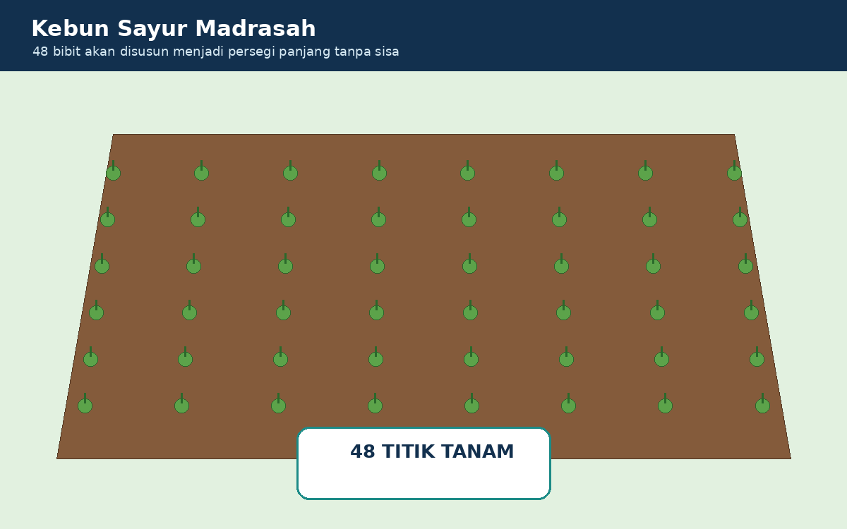 Visual soal 8: Petak kebun dengan 48 titik tanam tersusun dalam salah satu susunan persegi panjang.