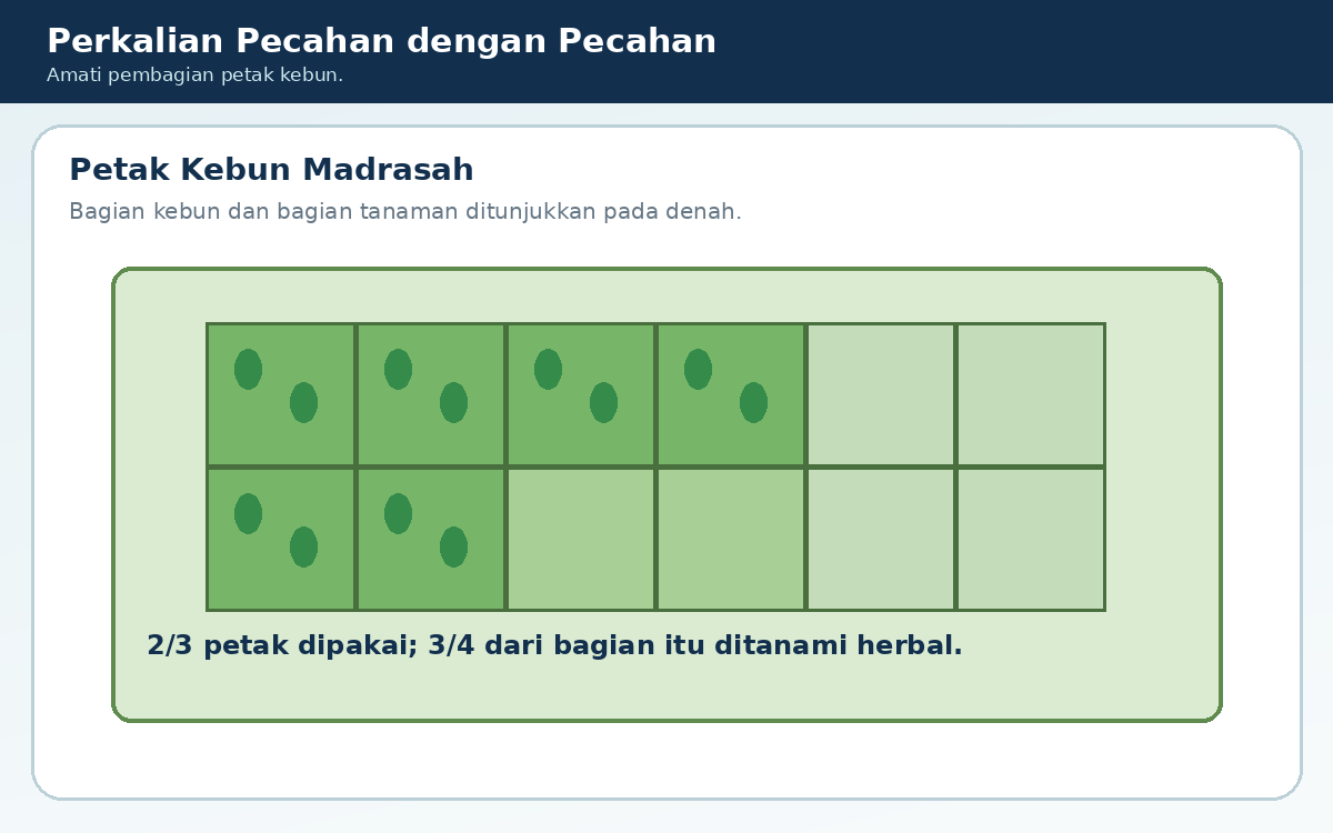 2/3 petak digunakan dan 3/4 dari bagian itu ditanami herbal.
