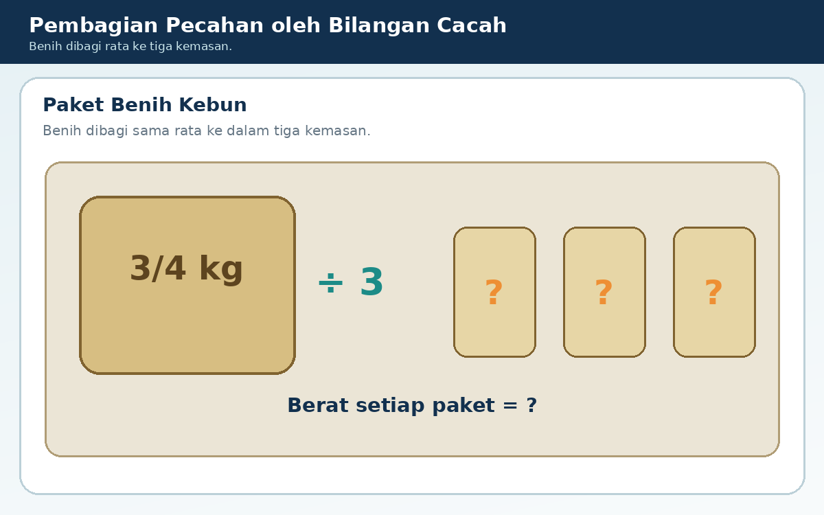 3/4 kg benih dibagi sama rata ke tiga paket.